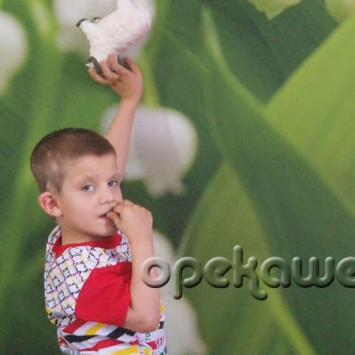 Аркадий Д.