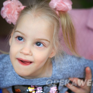 Ноябрь 2025 г.