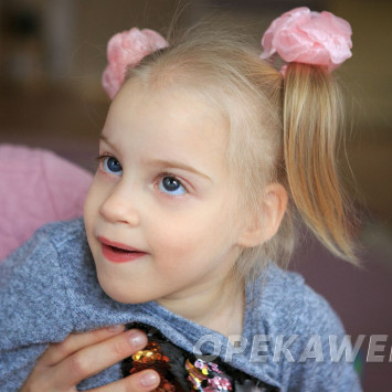 Ноябрь 2025 г.