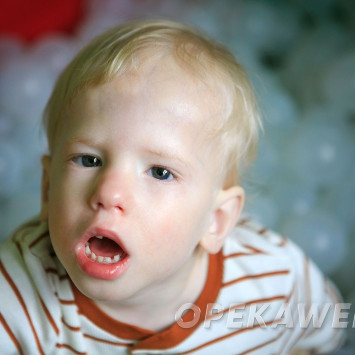 Ноябрь 2025 г.