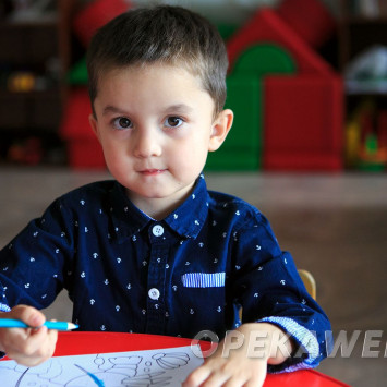 Ноябрь 2025 г.